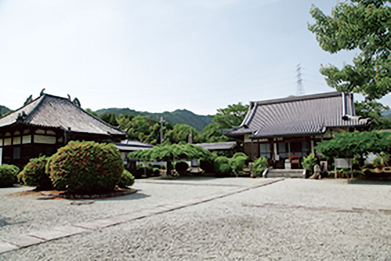 0914_ヤマザクラ_世尊寺