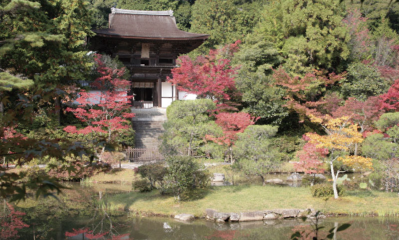 1031_運慶_円成寺